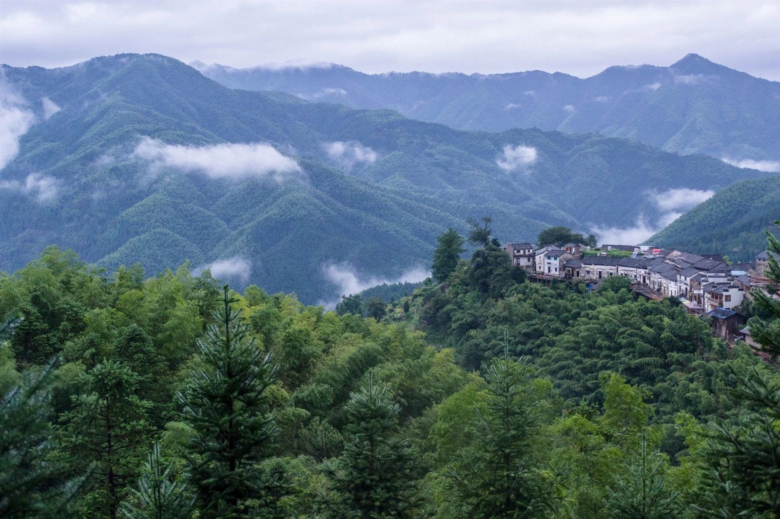 晟川皖南金秋之旅(图5)